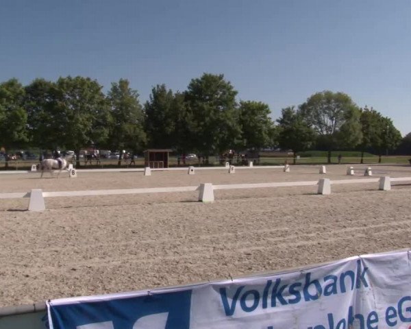 Reitturnier Rot am See- Musdorf 2020