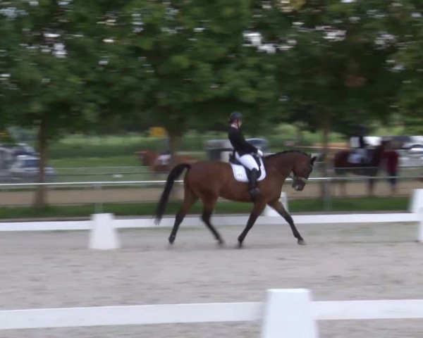 Reitturnier Rot am See- Musdorf 2020