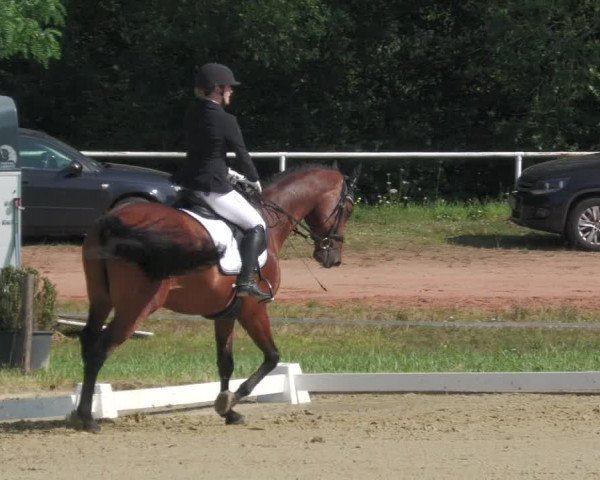 Reitturnier Heiligenwald 2020
