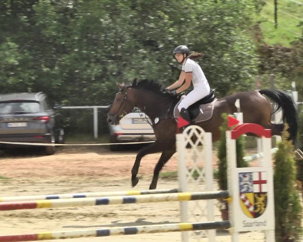 Reitturnier Heiligenwald 2020