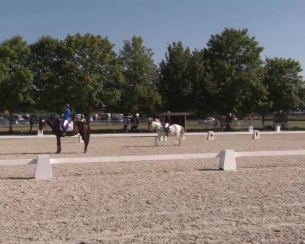 Reitturnier Rot am See- Musdorf 2020