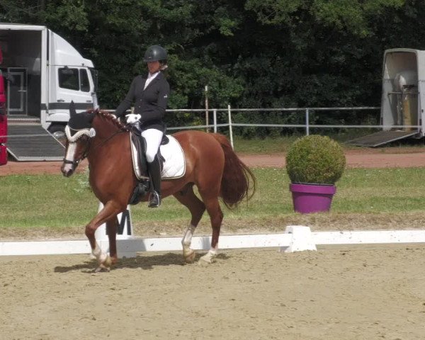 Reitturnier Heiligenwald 2020