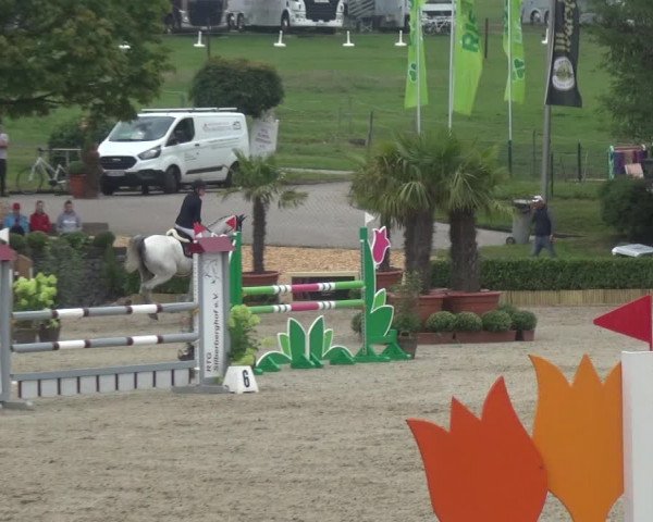 Reitturnier Wipperfürth-Kreuzberg 2020