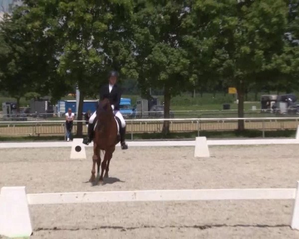 Reitturnier Rot am See- Musdorf 2020