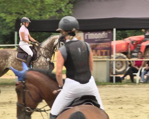 Reitturnier Heiligenwald 2020
