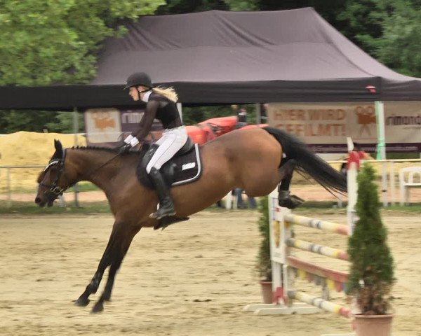 Reitturnier Heiligenwald 2020