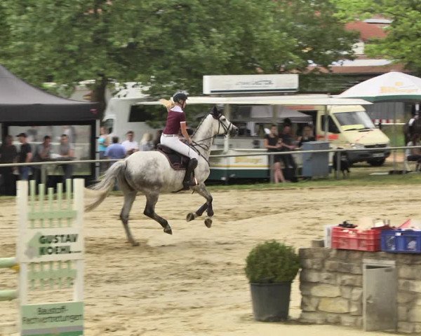 Reitturnier Heiligenwald 2020
