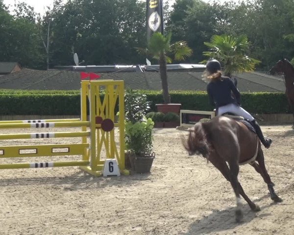 FEI Reitturnier Wipperfürth-Kreuzberg 2020