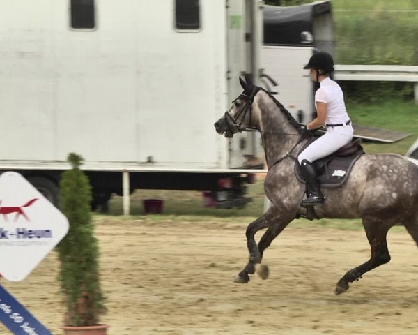 Reitturnier Heiligenwald 2020