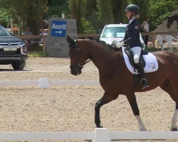 Reitturnier Kleinostheim/Ufr. 2020