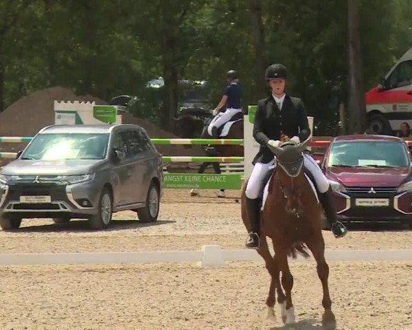 Reitturnier Kleinostheim/Ufr. 2020