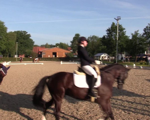 Reitturnier Greven 2020