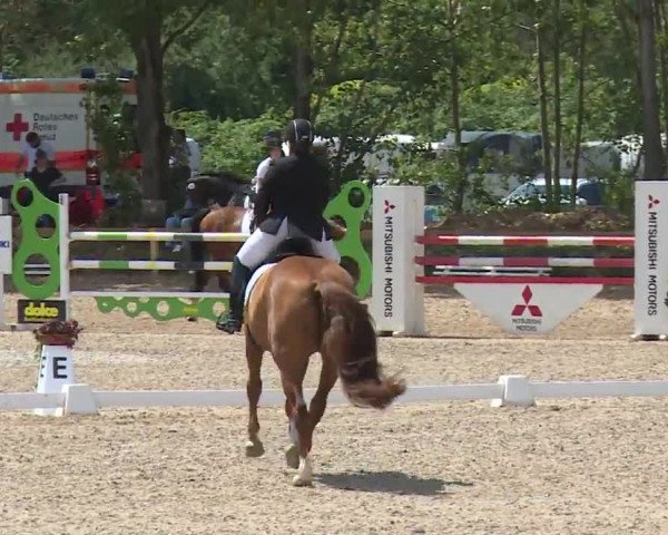 Reitturnier Kleinostheim/Ufr. 2020