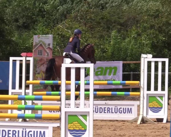 Reitturnier Süderlügum 2020