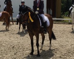 jumper Poker 81 (Polish Pony, 2006, from Corado)