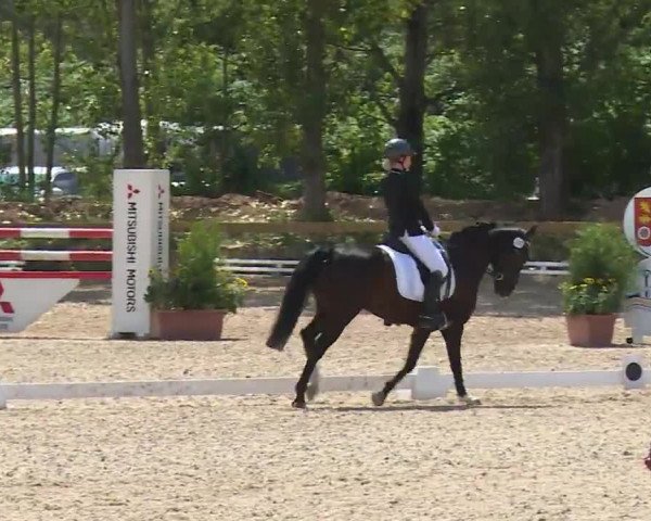 Reitturnier Kleinostheim/Ufr. 2020