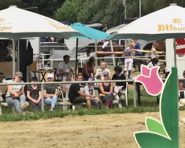 Reitturnier Heiligenwald 2020