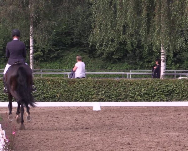 Reitturnier Seppenrade 2020