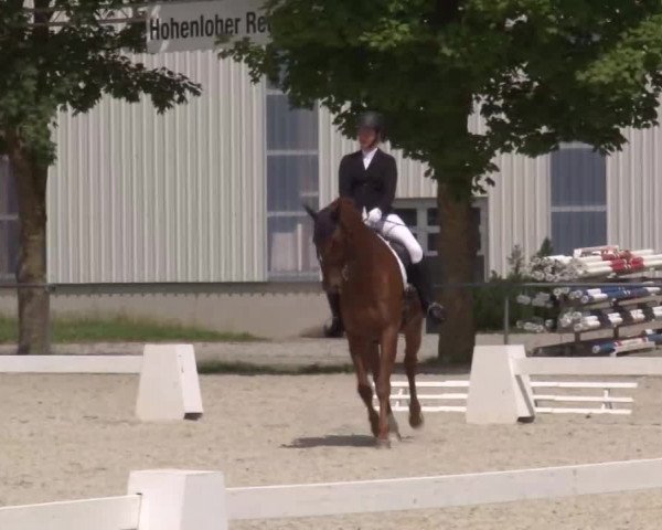 Reitturnier Rot am See- Musdorf 2020