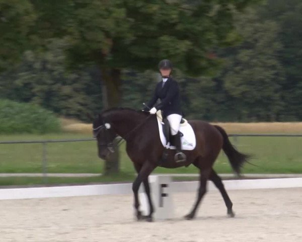 Reitturnier Rot am See- Musdorf 2020