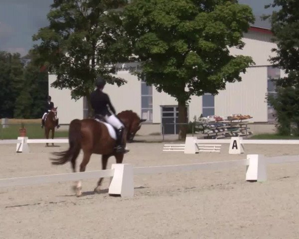 Reitturnier Rot am See- Musdorf 2020