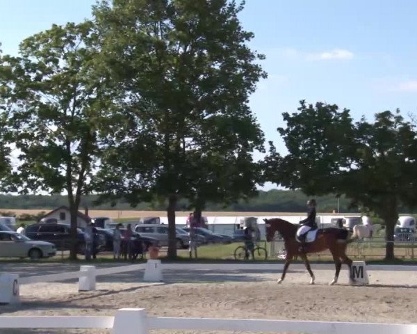 Reitturnier Rot am See- Musdorf 2020