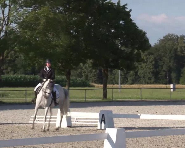 Reitturnier Rot am See- Musdorf 2020