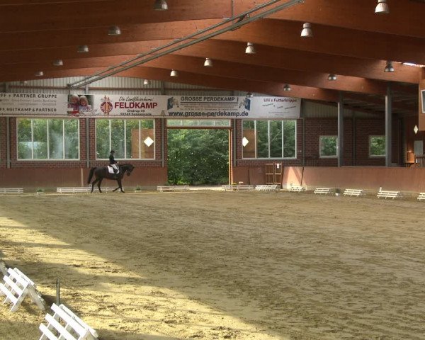 Reitturnier Seppenrade 2020