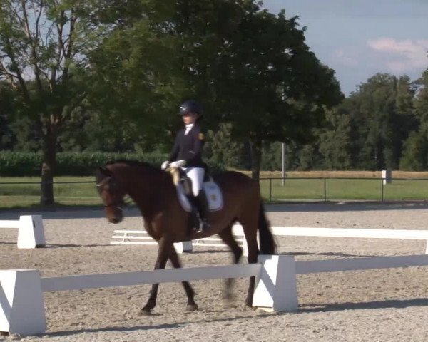 Reitturnier Rot am See- Musdorf 2020