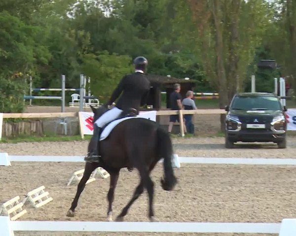 Reitturnier Kleinostheim/Ufr. 2020
