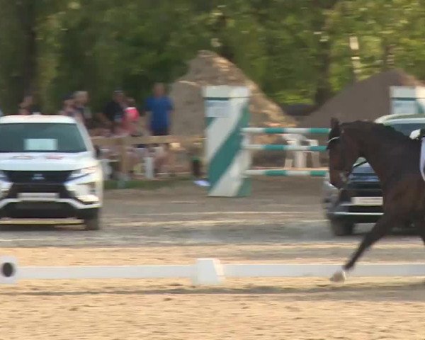 Reitturnier Kleinostheim/Ufr. 2020