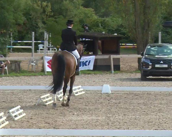 Reitturnier Kleinostheim/Ufr. 2020