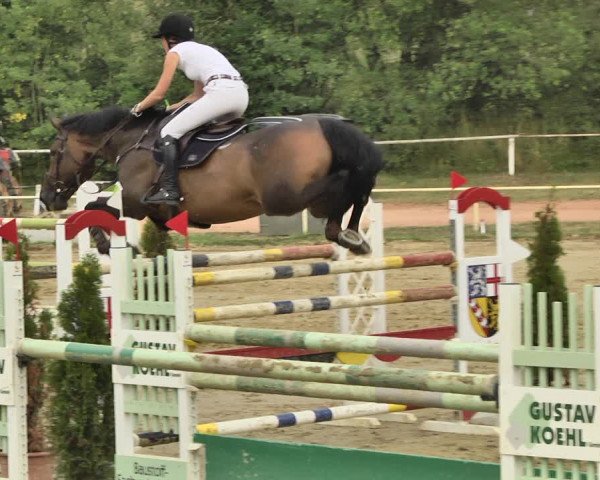 Reitturnier Heiligenwald 2020