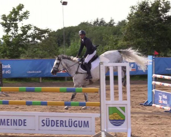 Reitturnier Süderlügum 2020