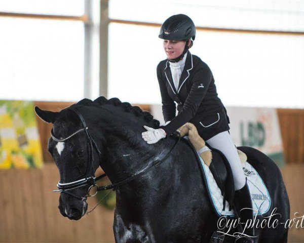 dressage horse Fate of Love (Hanoverian, 2011, from Fürst Nymphenburg)