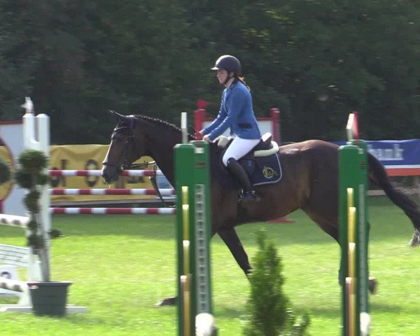 Reitturnier Greven 2020