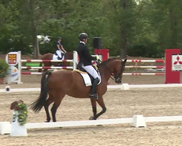 Reitturnier Kleinostheim/Ufr. 2020