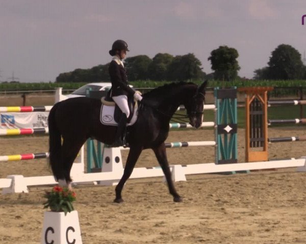 Reitturnier Marl, Reitanlage Rohmann 2020