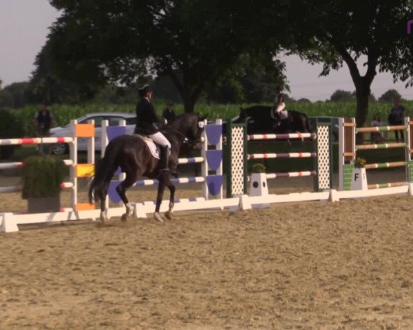 Reitturnier Marl, Reitanlage Rohmann 2020