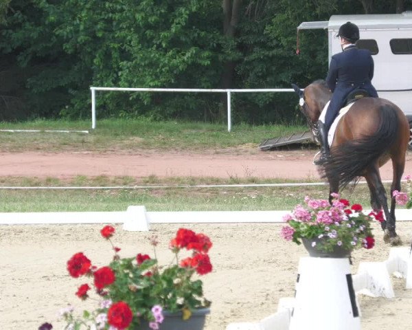Reitturnier Heiligenwald 2020