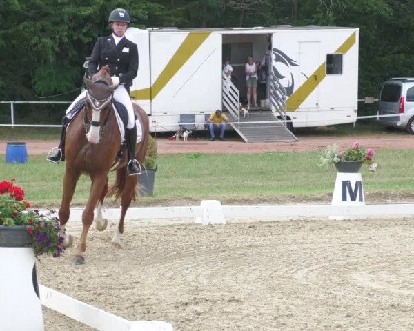 Reitturnier Heiligenwald 2020