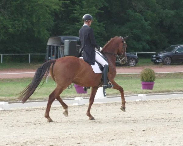 Reitturnier Heiligenwald 2020