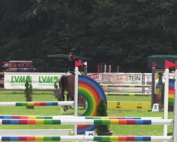Reitturnier Greven 2020