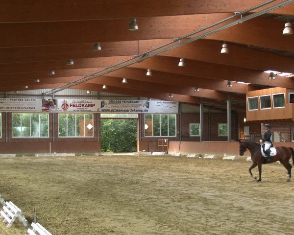 Reitturnier Seppenrade 2020