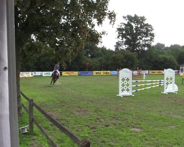 Reitturnier Greven 2020