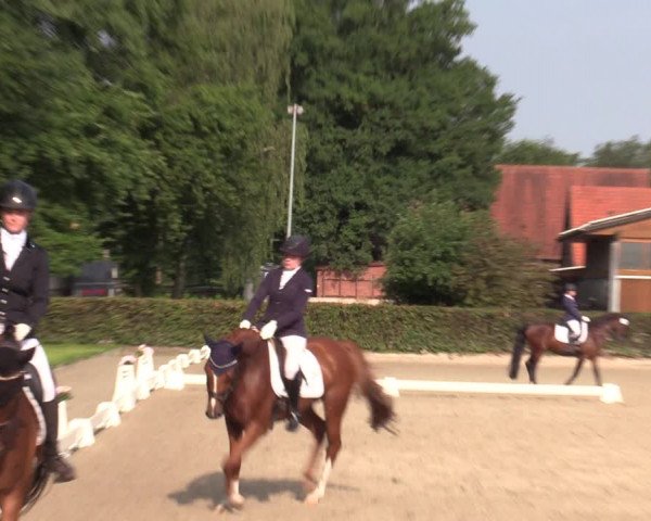 Reitturnier Greven 2020