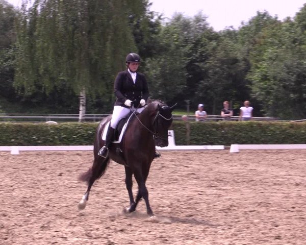 Reitturnier Seppenrade 2020