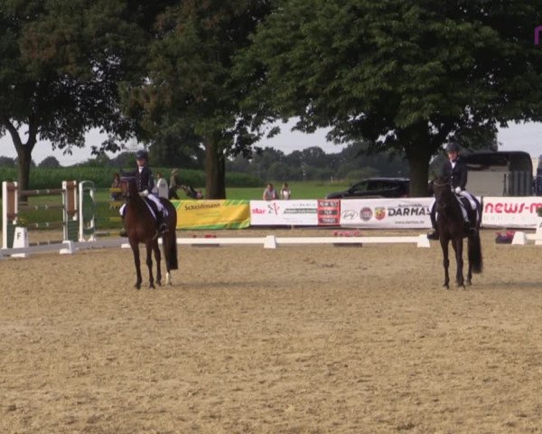 Reitturnier Marl, Reitanlage Rohmann 2020