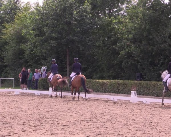 Reitturnier Seppenrade 2020