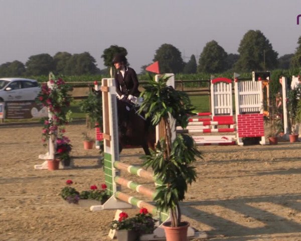 Reitturnier Marl, Reitanlage Rohmann 2020